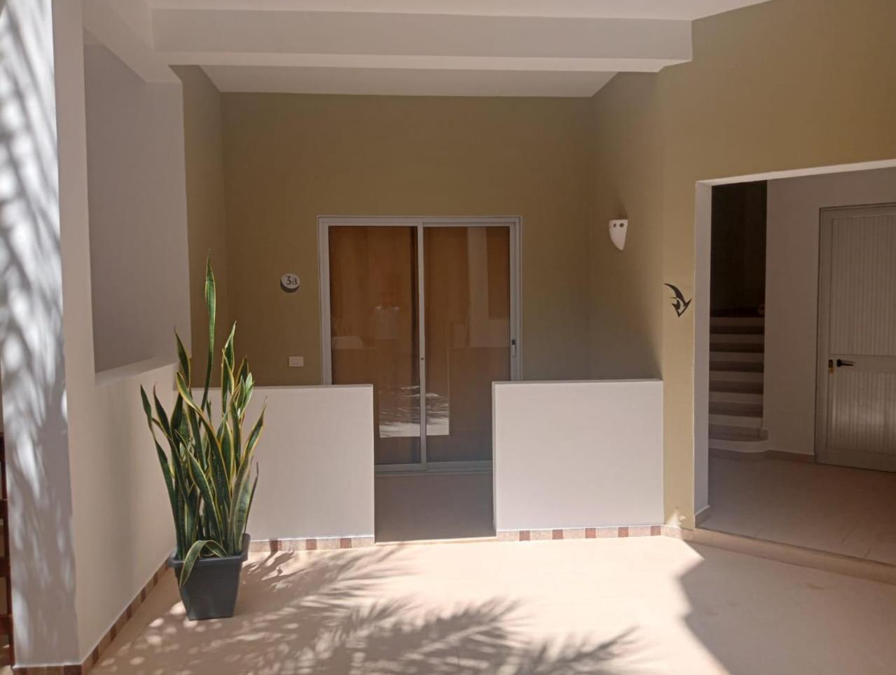 Apart-Hotel Ca Elsa Sal Rei Bilik gambar